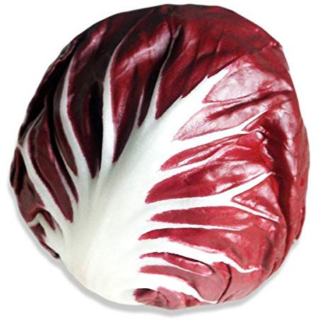 CICORIA ROSSA A PALLA DI VERONA NR.1000 SEMI