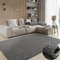 MY-RUG Shaggy Star kuscheliger Langflor Teppich, Rutschhemmende Unterseite, extra Langer Hochflor 37 mm, Pflegeleicht, Super Soft, Felloptik, grau, eckig 180 x 120 cm