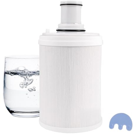 CISSIYOG Cartucho de Repuesto para Filtro de Agua Compatible con Amway Espring 100186M/100188CH,Filtración de Carbón Activado Naturalconserva Minerales Saludables