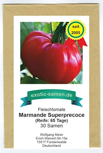 Marmande Superprecoce - sehr frühe, rote Fleischtomate - 30 Samen