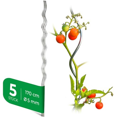 Novatool 5 Stück Tomatenstäbe 170 cm x 5 mm Ø Tomatenspiralstäbe verzinkt Rankstäbe Tomatenstangen 110cm Tomaten Rankhilfe Pflanzstäbe Tomatenstab Pflanzständer Pflanzstecker Tomatenspiralstab