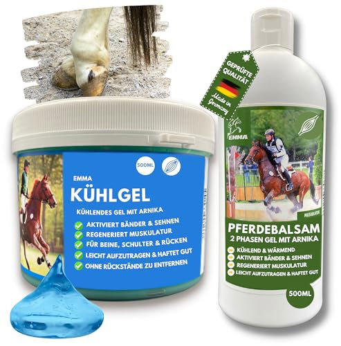 Kühlgel Pferd & Pferdebalsam wärmend & kühlend 2x500ml Arnika Salbe hochkonzentriert Gel für Sehnen Gelenke Muskeln Pferde Beine I Kühlsalbe Pferd mit Menthol Arnica Gel extra stark bei Verspanung