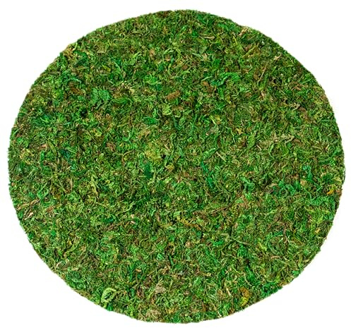 SuperMoss (26310) Moss Soil Toppers (Place Mats), Fresh Green, 10 (3 units)