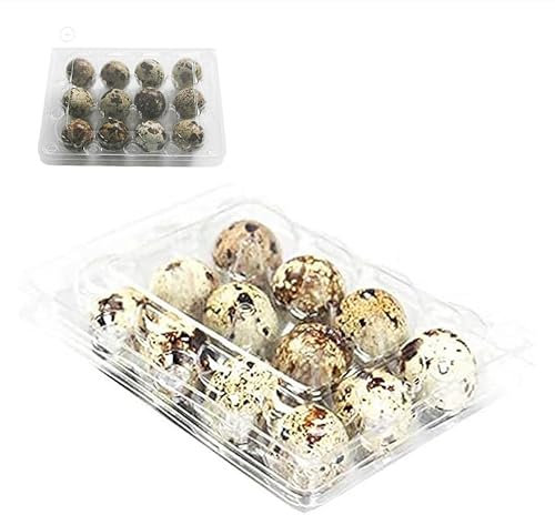 30 boîtes à œufs de caille PCS, 12 boîtes à œufs de caille à grille, boîtes à œufs de caille, boîtes à œufs, boîtes à œufs de caille en plastique, boîte à œufs transparente pour œufs de caille