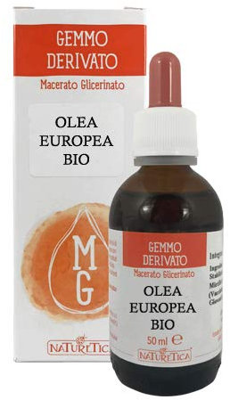 Gemmoderivato di olivo - olea europea 50ml