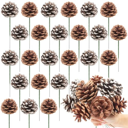 24PCS Natural Christmas Pine Cones Snow Pine Cone for Xmas Tree Garland Wreath Ornaments Pinecones Decorating Winter Holidays Home (Primary Colors, White)