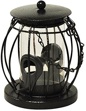 Best Price Square Kingfisher Mini Lantern Seed Feeder, Squirrel Guard, Squirrel Feeder, Metal, Hanging Mount