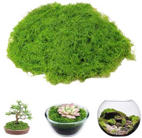 JNEYVIC Musgo Artificial para Manualidades y Bonsai 300g Musgo Verde Falso para Maquetas Modelismo y Dioramas Liquen Decorativo Pared Macetas Terrarios Base Pesebre Belén Navideño Decoración Realista