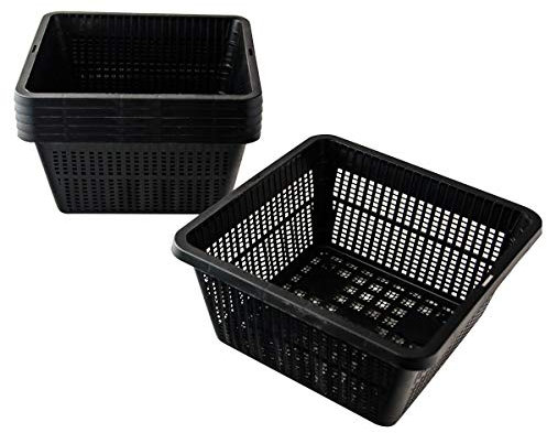 Pisces Pond Square Plant Basket 19 x 19 x 9cm - 6 Pack of Pond Planting Pot