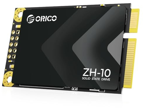 ORICO 1TB mSATA SSD SATA III, 3D NAND intern solid status-enhet för bärbara datorer Ultrabooks Desktop-ZH10