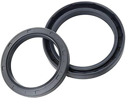 2 Stück TC NBR Wellendichtringe Wellendurchmesser 48mm, Außendurchmesser 62mm Nitril Radialwellendichtring Öl, TC 48x62x10mm NBR