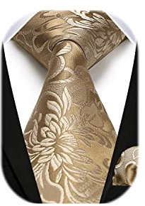 HISDERN Herren Paisley Krawatte Einstecktuch Hochzeit Party Krawatte & Einstecktuch Set für Klassisches Business (Einheitsgröße, Golden)