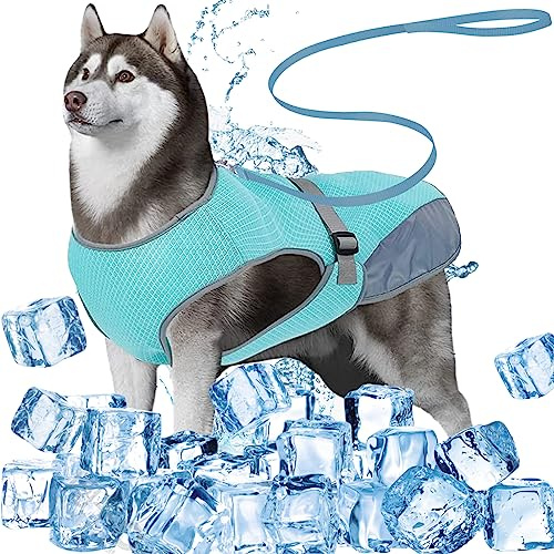 DKDDSSS Chaleco Refrescante Perro, Chaqueta Refrigerante para Perros, Ropa Transpirable Refrigerante para Cachorros, para Mascotas Medianos, Grande, Apto para Exterior (Grande, Azul)