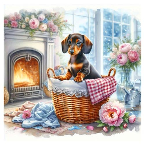 AMORARS Dachshund Diamond Art Kits for Adults - 5D Diamond Painting Kit for Beginners - DIY Full Diamond Dot Rond Gem Art Paintings and Gifts Home Decoration Crafts, 12x12Inch