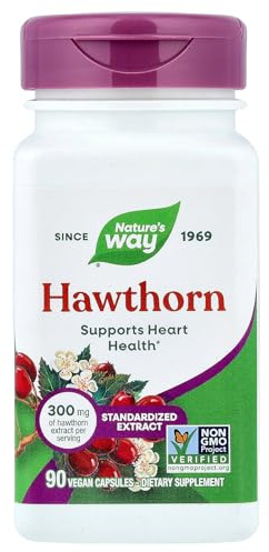 Hawthorn Standardized Extract - 90 - Capsule