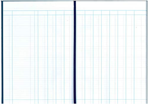 Guildhall Spaltenbuch Serie 31 12 Finanzspalten 80 Blatt 298 x 203 mm