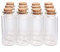 Danmu Art 30ml 30mm x 70mm Mini Glass Bottles Jars with Wood Cork Stoppers Small Glass Bottles Halloween Decorations(12PCS)
