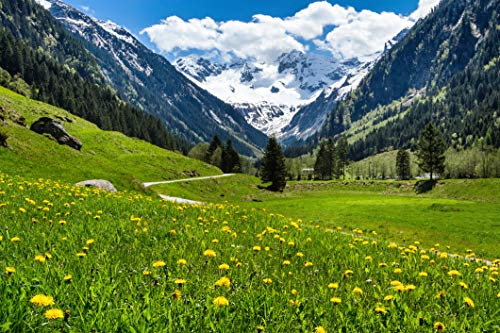 ALPEN Fototapete VLIES-350x260 cm (1395A)-Natur Landschaft Blumen Berge Garten Bäume Gebirge Wandtapete-Inkl. Kleister-Vliestapete Bild Dekoration Wand-Dekor Moderne Motiv-Tapete Panorama Poster XXL