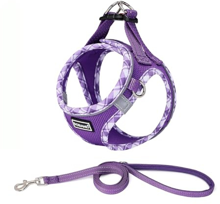 DORAMIO Hundegeschirr Kleine Hunde mit Leine, Step-in Geschirr Reflektierend Atmungsaktiv Brustgeschirr Anti Zug Sicherheitsgeschirr Katzengeschirr für Kleine Hunde, Katzen (M, Lila)