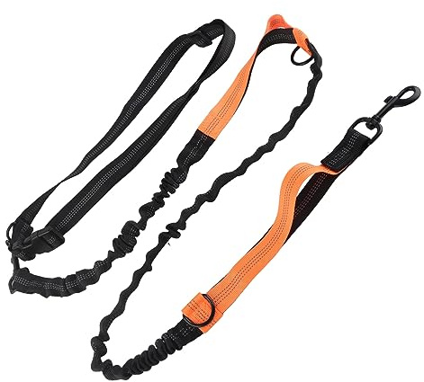 Generic Heavy Duty Bungee Dog Leash, Alloy Buckle Nylon Reflective Strip Shock Absorbing Elastic Dog Leash 360 Degrees Rotation with 2 Padded Handles to Walk (Orange)