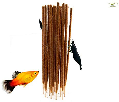 NatureHolic - Garnelen Lollies „InsektenPower“ I hochwertiges Insektenprotein I toller Knabberspaß I ideal zur Handfütterung I hervorragende Verdaulichkeit I 1 Lolli