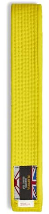 Playwell Cinturón de graduación de algodón de color sólido para artes marciales (karate, judo taekwondo), amarillo, 280cm