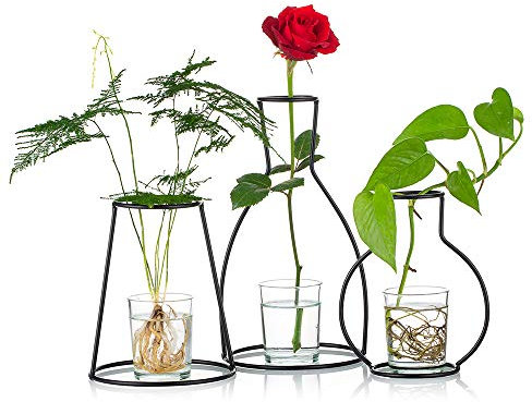 NUPTIO Set mit 3 Kreativen Blumentöpfen für Den Schreibtisch, mit Glasbecher, Vasen und Metallständer aus Eisen für Wasserpflanzen, Blumengestecke Dekoration (3 Stck)