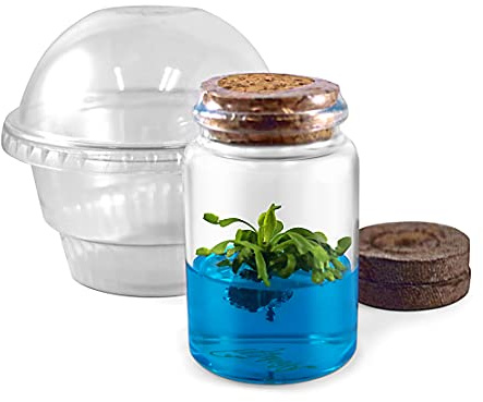 Venus Flytrap Kit, Live Venus Fly Trap Terrarium Included/DIY Beginner Friendly Starter Kit, Educational Growing Plant, Exotic Native