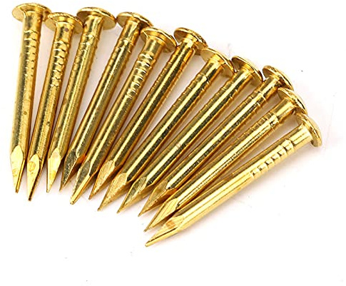 Brass Nails Golden, 100Pcs Round Head Nail Brass Furniture Big Head 20mm Accessories 10mm/15mm/18mm/22mm15mm Length den Nail Flat Round Hinge Hardware (22mm long, bold)