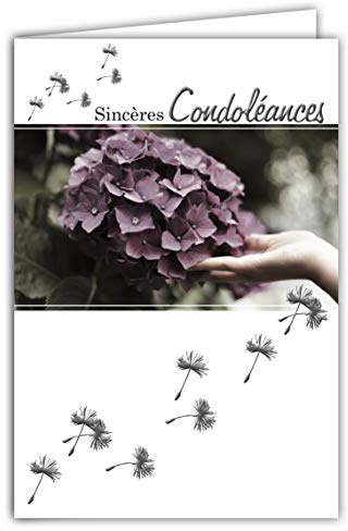 64-1038 Carte Sincères Condoléances avec Enveloppe Blanche - Argenté Brillant Fleur Hortensia - Graphisme Contemporain Deuil Décès - Format Fermé 11,5x17 cm - Fabriquée en France