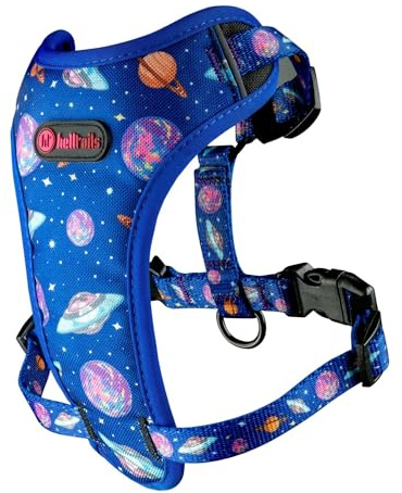 Helltails Anti Zug Hundegeschirr für Mittelgroße Hunde Gepolstert | NO Absorb | Atmungsaktiv Geschirr Hund Reflektierend | Brustgeschirr Einstellbar und Verstellbar | Dog Harness | Cosmic Bloom - M
