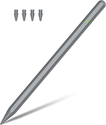 Penna per iPad (2018-2024) con 15 Minuti di Ricarica Rapida e Palm Rejection e sensibilità all'inclinazione, per iPad Pro 13''/12.9''/11'', iPad 10/9/8/7/6, iPad Mini 6/5, iPad Air 5/4/3/M2 (Grigio)
