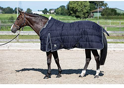 Harry's Horse Highliner 32205951-07-165CM Stable Blanket 500 g Green Size 165 cm
