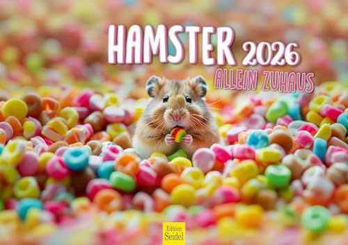 Edition Seidel Calendario premium para hámster solo en casa 2026, formato DIN A3, calendario de pared, calendario de animales, mamíferos, mascotas, roedores, roedores