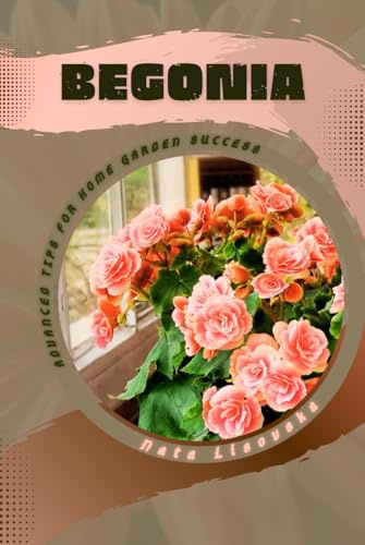 Begonia: Advanced Tips for Home Garden Success