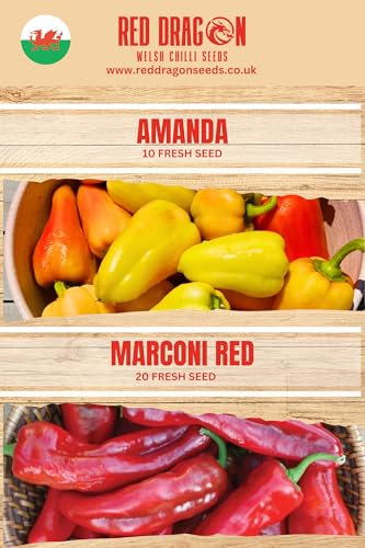 Sweet Pepper Seeds Double Pack | Amanda & Marconi Red | Sweet Bell & Italian Frying Peppers | Easy to Grow Vegetable Seeds