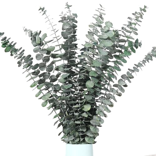 Noaxylic 12 Pcs Eucalipto Secado Naturales Flores Secas 45cm, Ramas Eucalipto Artificial, Unidades de Seco Natural, Decoracion Follaje Artificial, para Bodas, Fiestas, Hogar, Arreglos Florales