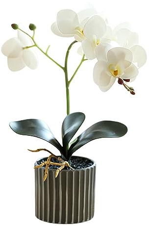 Hintyne Konstgjorda blommor i krukor konstgjord orkidé 30 cm hög realistisk orkidé i en kruka äkta touch dekorativa bonsai blommor för bordsuppsatser vit
