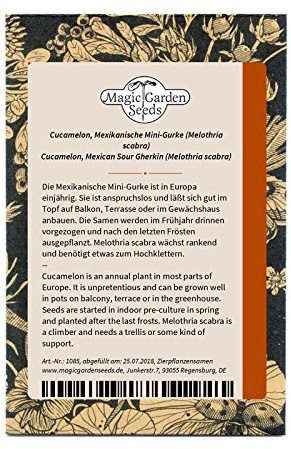 Cetriolo messicano/Cucamelon (Melothria scabra) - circa 10 semi
