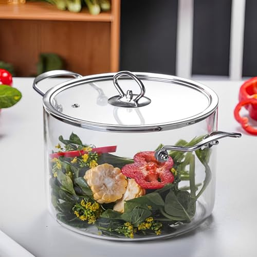 Glaskokkärl med lock -40–300 °C 20 x 29,5 cm med 2 värmebeständiga handtag pumpakruka non-stick modern enkel glaskruka ugnsform glas glaskokkärl glaskrukor genomskinlig gryta (L)
