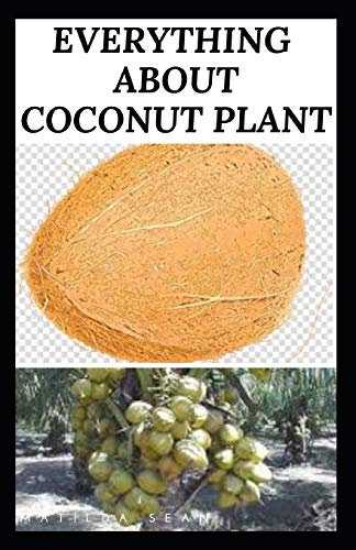 EVERYTHING ABOUT COCONUT PLANT: The Healthy benefit of coconut parts to the body and our daily food nutritional