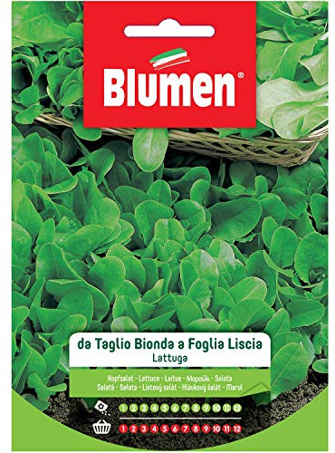 BLUMEN SEMENTI, LATTUGA DA TAGLIO BIONDA A FOGLIA LISCIA