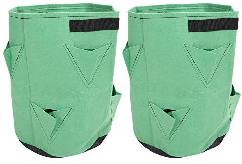 Riuulity 2 Pezzi 8 Tasche 43 L/10 Galloni Borsa per Piantare Fragole Secchi per Piantare Fiori e Ortaggi per il Giardinaggio