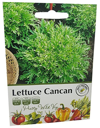 Lettuce Cancan Seeds Vegetable Fruit Seeds Veg Seeds Cabbage Carrot Sweetcorn Tomato Strawberry (Lettuce Cancan)