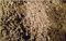 Pietra Pomice diametro 3-6 mm - Sacco da 12lt