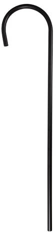 Canne Charlot Noire 80 cm PtitClown