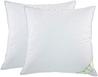 franknatur - 2X Kopfkissen 30% Gänse-Daunen Kissen Federn 80x80 Christin