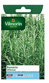 Vilmorin 5878846 Pack de Graines Romarin Officinal