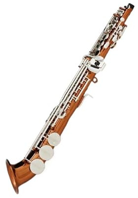Professionell Saxofon Kaffe Satin Silver Rör Altsaxofon Instrument