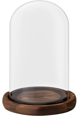 Glas Cloche Display, Klart glas Cloche Dome Bordsskiva Display Case Trä Bas Beige Kaffeväxter Hantverk(Coffee)